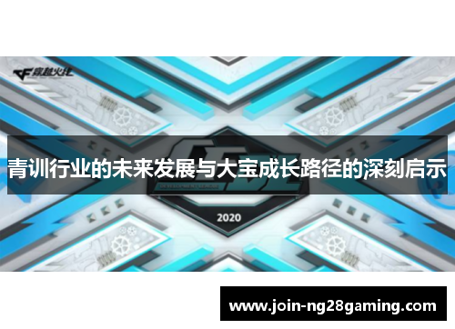 青训行业的未来发展与大宝成长路径的深刻启示 青训行业的未来发展与大宝成长路径的深刻启示
