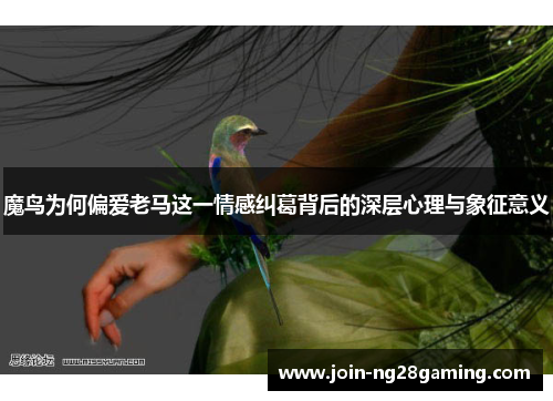 魔鸟为何偏爱老马这一情感纠葛背后的深层心理与象征意义