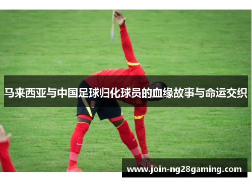 马来西亚与中国足球归化球员的血缘故事与命运交织