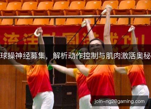 球操神经募集，解析动作控制与肌肉激活奥秘
